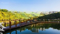 Nhận Booking Căn Hộ Khu Diamond - Celadon City Trực Tiếp Từ Chủ Đầu Tư Ngày 21/3/2025