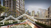 Nhận Booking Căn Hộ Khu Diamond - Celadon City Trực Tiếp Từ Chủ Đầu Tư Ngày 21/3/2025