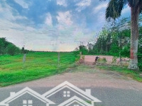 Bán 3.9 Hecta Đất = 39.000 M2 Tại Phước Hiệp, Củ Chi, Tp.hcm Mặt Tiền Đường Nguyễn Thị Kiệp