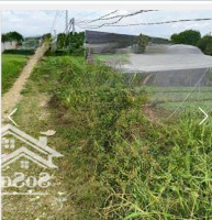 Bán 8200M2 Đất Xuân Thới Thượng, Hốc Môn, Giá Bán 20,5 Tỷ ( Thương Lượng)