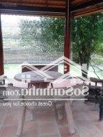 Bán Lô Đất Lớn 5154M2 Ngay Gần Tỉnh Lộ 7, Chợ Lô 6