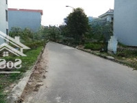 Đất Nền Q8 Đường Phạm Thế Hiển 100M2 Sổ Hồng Riêng