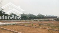 Đầu Tư Nhẹ, Lô Đất Quang Trung 295 Triệu - Trung Tâm Xã, Cách Đường Lớn 20M Tại Thủy Nguyên