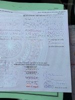 Bán Đất Mẫu 1Ha Đường Nhựa Kênh 11, Bình Chánh