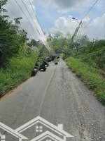 Bán Đất Mẫu 1Ha Đường Nhựa Kênh 11, Bình Chánh
