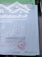 Bán Đất Mẫu 1Ha Đường Nhựa Kênh 11, Bình Chánh