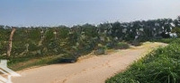 Cần Bán 400M2 Tại Sóc Sơn - Chỉ 3.X Tr/M2 Mặt Tiền Rộng Miên Man - Sổ Đỏ Sẵn Giao Dịch