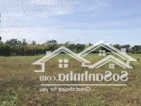 Cần Bán 200M2 Đất Odt Và 9.500M Đất Lúa Ngay Đ. Nguyễn Thông - Hiệp Thạnh - Châu Thành - Long An