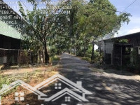 Cần Bán 200M2 Đất Odt Và 9.500M Đất Lúa Ngay Đ. Nguyễn Thông - Hiệp Thạnh - Châu Thành - Long An