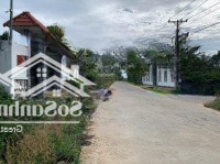 Bán Mấy Lô Mặt Tiền Cây Thông Ngoài - Giá Rẻ Nhất Khu Vực