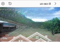 Chính Chủ Cần Bán Nhanh Lô Đất Rẫy 7Ha Tại Đăk Hà, Kon Tum