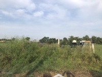 Bán Lô Đất 1000 M2 Đường Bê Tông 1/ Tl823, Gần Vin Green City, Có 600M2 Thổ Cư.