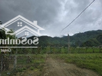 Bán Biệt Thự Nhà Vườn View Đồng Lúa 850M2 Đất Ở Tại Thôn Nam Yên. Diện Tích: 970 M2. Trong Đó Đất 850M2