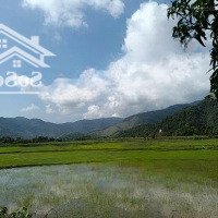 Bán Biệt Thự Nhà Vườn View Đồng Lúa 850M2 Đất Ở Tại Thôn Nam Yên. Diện Tích: 970 M2. Trong Đó Đất 850M2