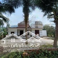 Bán Biệt Thự Nhà Vườn View Đồng Lúa 850M2 Đất Ở Tại Thôn Nam Yên. Diện Tích: 970 M2. Trong Đó Đất 850M2