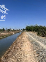Đất Thích Hợp Làm Nhà Vườn, Biệt Thự Tại Xã Hàm Liêm, Cách Tp Phan Thiết 9Km