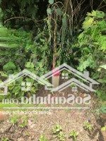 Chính Chủ 0928472178 - Chuyển Nhượng Hoặc Cho Thuê Đất Ấp Tà Thiết - Xã Lộc Thịnh, Bình Phước
