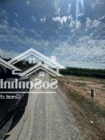 Bán Đất Đẹp Tại Lộc Ninh, Dương Minh Châu, Tây Ninh, 999 Triệu, 1000M2