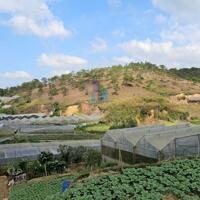 Bán Đất hẻm xe hơi đường Châu Văn Liêm, Phường 7, Đà Lạt 907,97mv