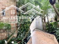 Bán Nhà Vạn Phúc, Ba Đình Dòng Tiền 3 Tỷ/Năm, 130M2,Thang Máy, Mt8M, Ô Tô Đỗ, Chỉ Hơn 54 Tỷ