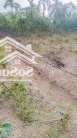 Bán Đất Quán Trạch - Liên Nghĩa - Văn Giang - Hưng Yên - 420M - Giá Đầu Tư Phân Lô