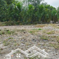 Chủ Cần Bán 5470M2 Đất Đường Xe Hơi, Khu Đông Dân Cư Giá Tốt, Shr