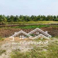 Chính Chủ Gửi Bán Lô Đất Mặt Tiền 833C Tân Bình, Có Sẵn 2911M2 Thổ Cư, Giá Rẻ, Shr