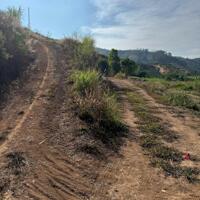 ĐẤT THỊ TRẤN ĐINH VĂN VIEW ĐẸP
