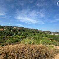 ĐẤT THỊ TRẤN ĐINH VĂN VIEW ĐẸP