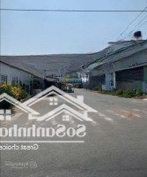 Ngộp! Bán Gấp Đất Tân Trạch, 830 Triệucó Thương Lượngnhẹ, Full Thổ Cư, Sổ Đẹp, Hỗ Trợ Vay 70%. Liên Hệ: 0879816567