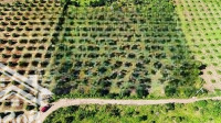 Vườn 6493M2 Có Nhà Vườn Cây, 300 Thổ Cư, View Đẹp Chỉ ~1. 6 Triệu/M2 Hàng Gòn Tp. Long Khánh Đồng Nai