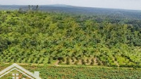 Vườn 6493M2 Có Nhà Vườn Cây, 300 Thổ Cư, View Đẹp Chỉ ~1. 6 Triệu/M2 Hàng Gòn Tp. Long Khánh Đồng Nai