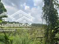 Nắm Bắt Xu Hướng Phát Triển Du Lịch Sinh Thái Nghỉ Dưỡng Đầu Tư Ngay Đất Vườn Hồ Trị An