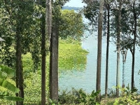 Nắm Bắt Xu Hướng Phát Triển Du Lịch Sinh Thái Nghỉ Dưỡng Đầu Tư Ngay Đất Vườn Hồ Trị An