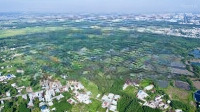 Siêu Phẩm Đất Mặt Tiền Còn Sót Lại Tại Đường Bà Ký, 47 Mét Mặt Tiền Đường Nhựa Gần Chợ Long Thọ