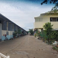 Sang Nhượng Nhà Máy Sản Xuất, Diện Tích 14200 M2