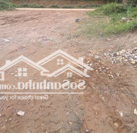 Bán Đất Tại Khu3 Xã Phú Hộ, Phú Thọ, 2,15 Tỷ, 160M2, Uy Tín