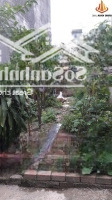 Chốt Gấp Kẻo Lỡ - Giá Chỉ Nhỉnh 3 Tỷ !