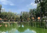 Bán Căn Hộ 3 Phòng Ngủfull Nội Thất Cảnh Viên 2, Pmh. Nhà Đẹp View Thoáng, Giá Bán 8.5 Tỷ