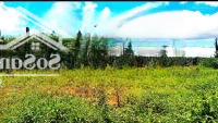 Bán Đất Xuân Thọ Tp Đà Lạt, Cách Ql20 300M, Đường Ô Tô View Cực Đẹp