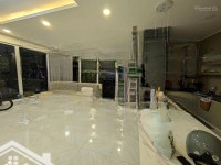 Bán Căn Hộ Penthouse Sân Vườn Cao Cấp 3 Phòng Ngủ The Golden Star Quận 7