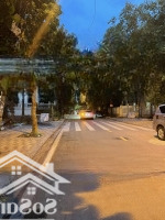 Biệt Thự Kđt Vườn Đào Lạc Long Quân, Khu D5 Đẳng Cấp, 230M2 Có Hầm, Giá Tốt Nhất