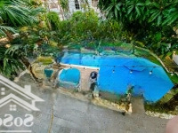 Cho Thuê Villa Sân Vườn Hồ Bơi Full Nội Thất Cao Cấp - Villa For Rent 5B 6 Vệ Sinh- Swimming Pool Garden