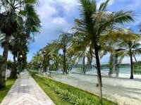 Bán Song Lập Để Ở Gần Hồ 150M Khu San Hô - Giá Chỉ 30 Tỷ Duy Nhất Tại Vin Ocp Gia Lâm