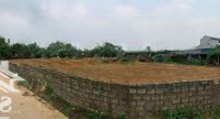 Bán 1500M Có 1000M Thổ Cư.mặt Tiền30M. Phù Hợp Đầu Tư Phân Lô, Đất Nghỉ Dưỡng View Đẹp. Giá Chỉ 1,X Tỷ