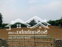 Bán 1500M Có 1000M Thổ Cư.mặt Tiền30M. Phù Hợp Đầu Tư Phân Lô, Đất Nghỉ Dưỡng View Đẹp. Giá Chỉ 1,X Tỷ