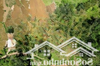 Mảnh Đất Nghỉ Dưỡng Tại Phú Vinh, 860 Triệu, 3500 M2 Chỉ Với Giá Tốt