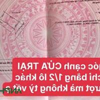 Cần bán siêu phẩm lô góc cạnh dự án Cửa Trại, Phường Thủy Đường, TP Thủy Nguyên