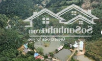 Bán Trang Trại Gần Thành Phố Lào Cai Giá Chỉ Hơn 2 Tỷ
