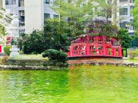 Người Trẻ Đang Ít Vốn Muốn Đầu Tư Bđs? Đừng Bỏ Qua Bài Viết Này! Thanh Toán Giãn Lên Tới 18 Tháng